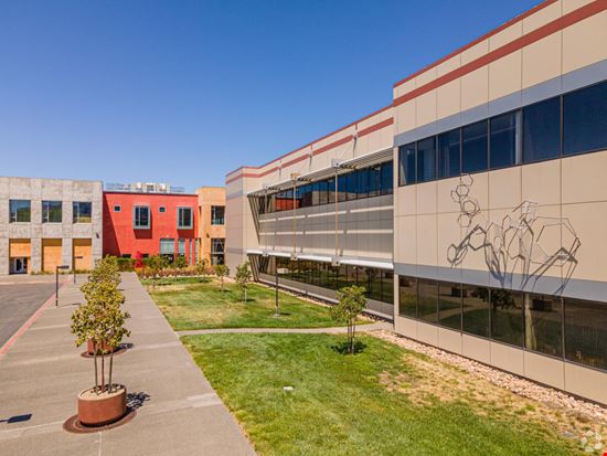 Somo office