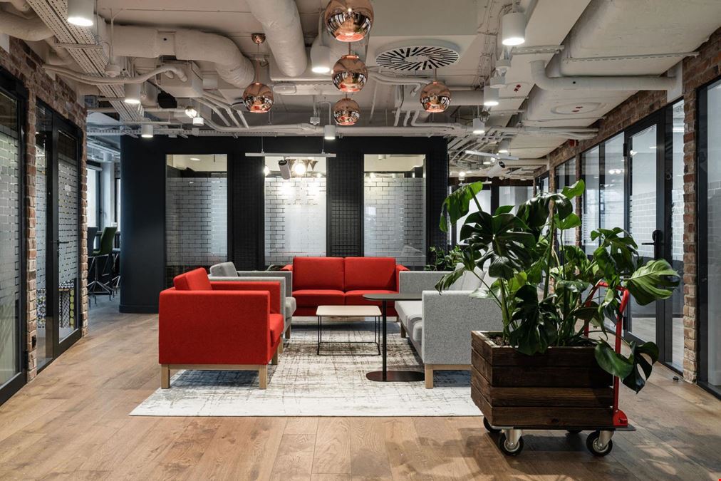 Brain Embassy Czackiego