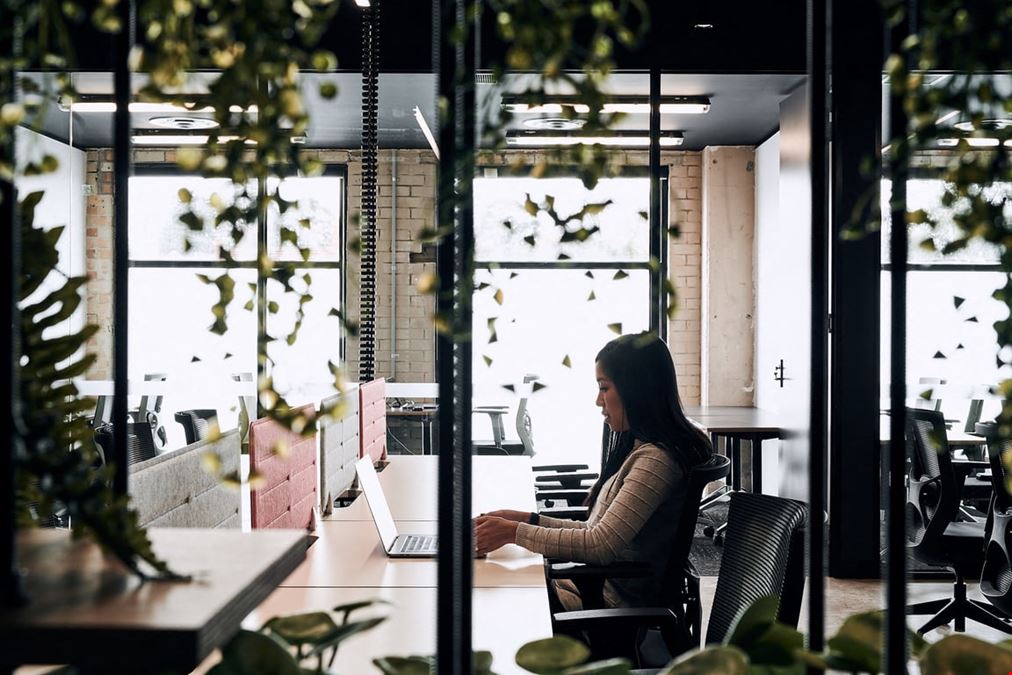 CreativeCubes.Co - Hawthorn