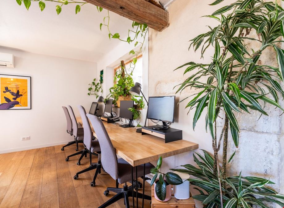 The Island Montpellier