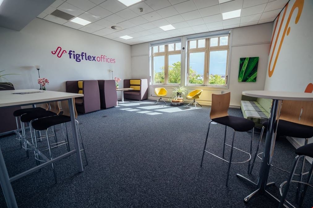 FigFlex - Gloucester