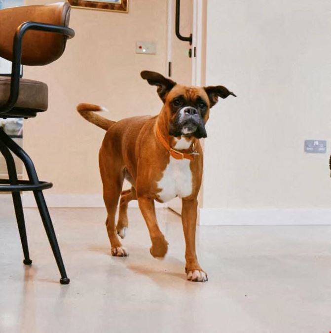 Drop-in - Clapton