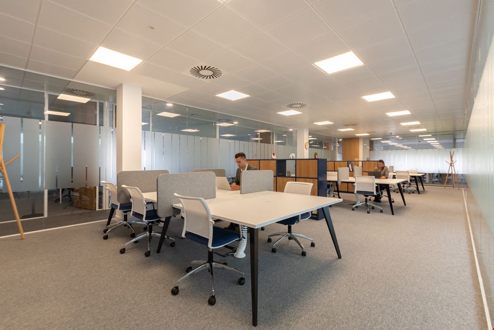 Regus - Winnersh Triangle