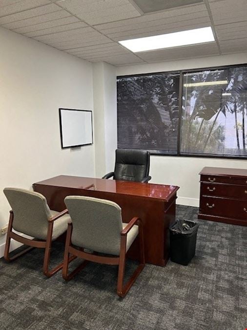 Office Suite