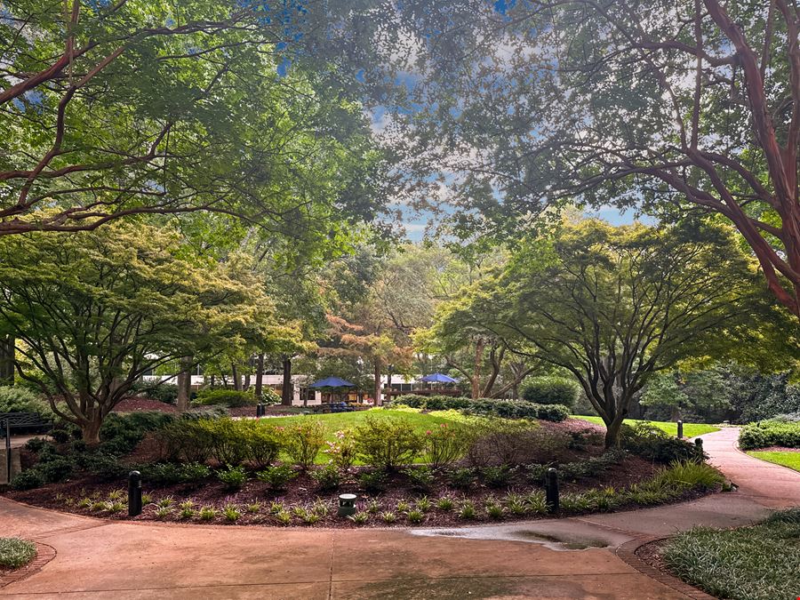 GA, Duluth - Sugarloaf