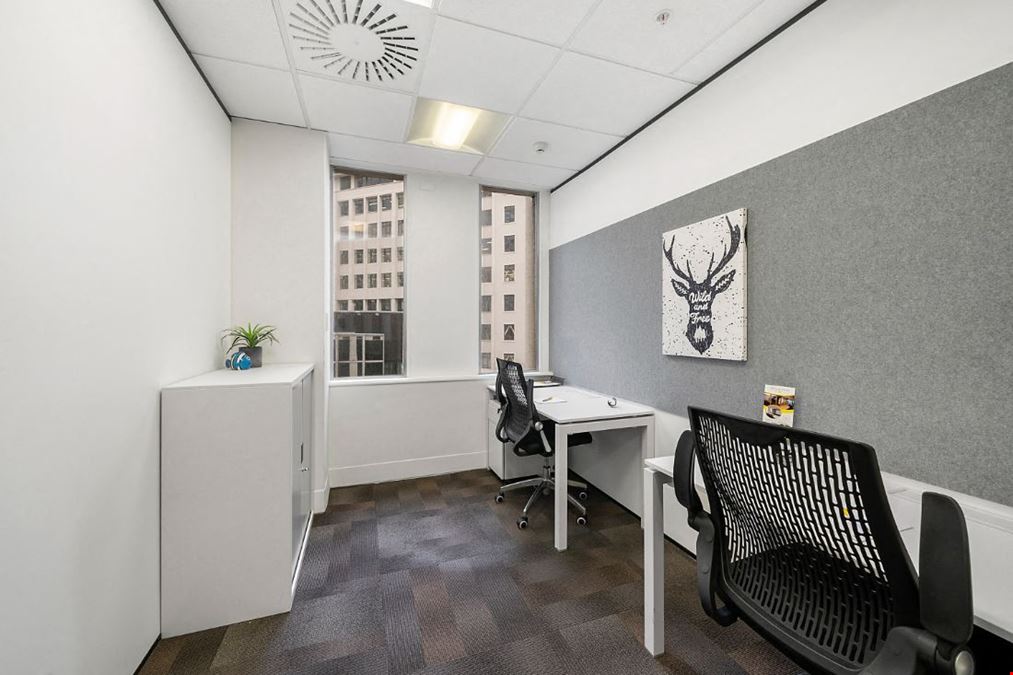 Urban Hub Offices - Wellington