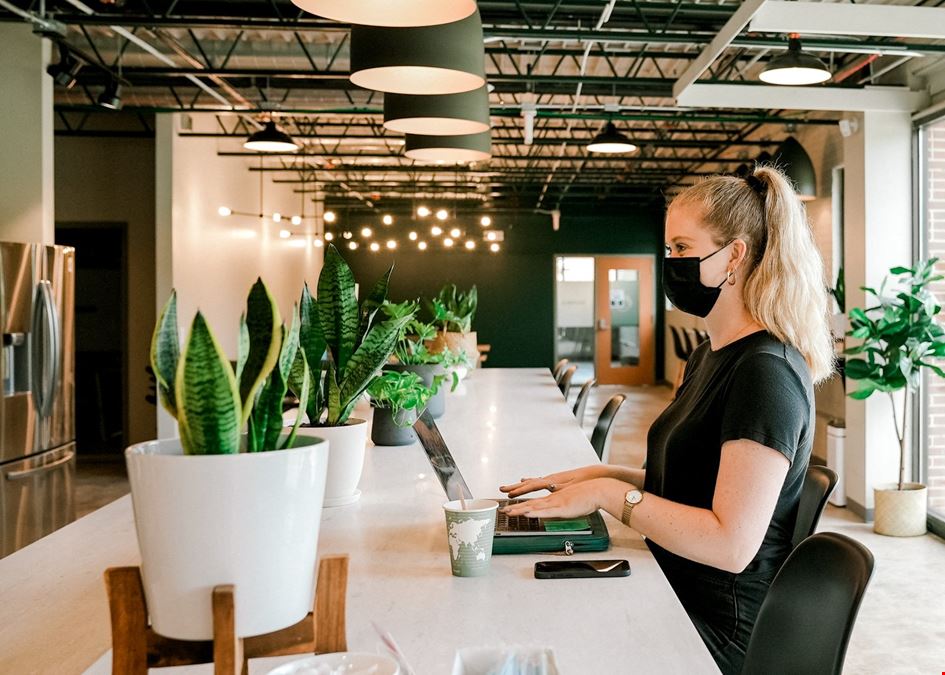 The Loading Dock - Beryl