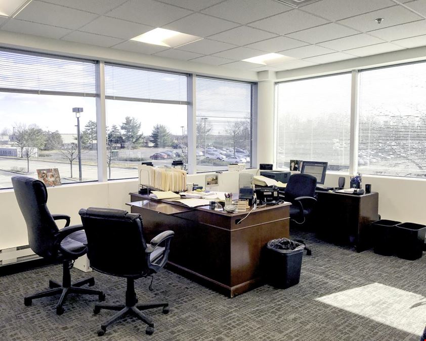 Team Office