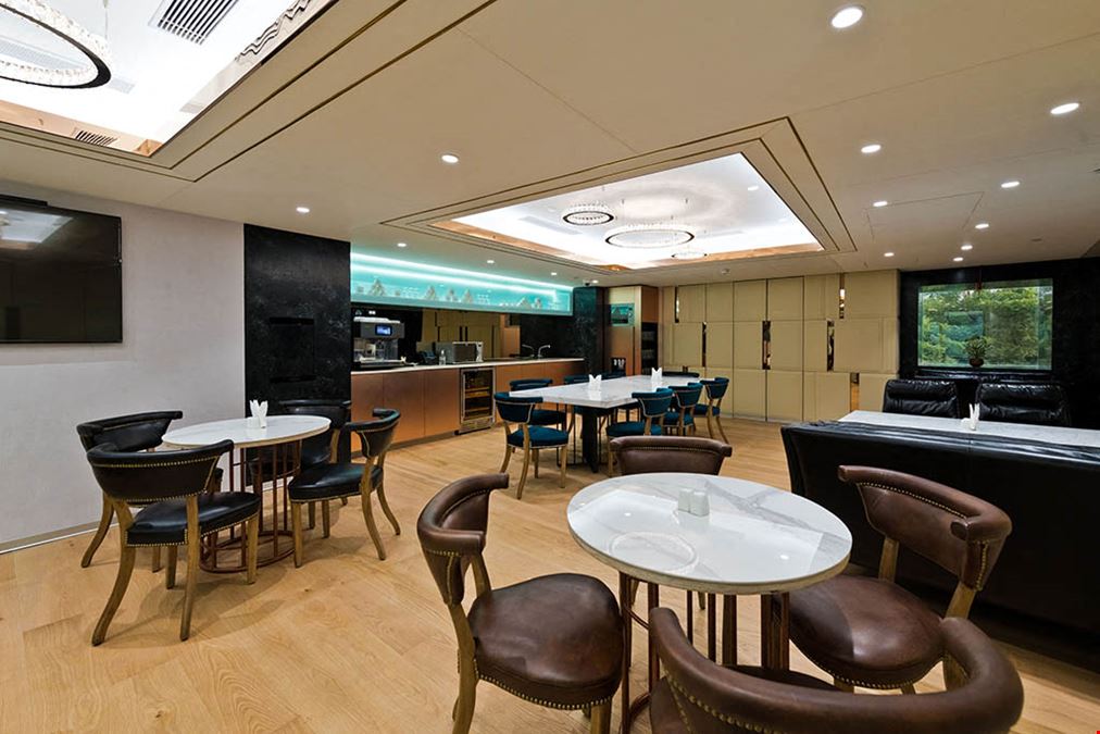 The Executive Centre - New Delhi - TEC DLF Centre