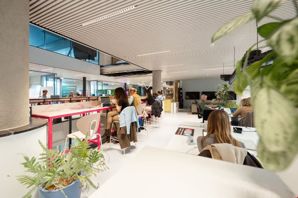 The Hague Tech Den Haag