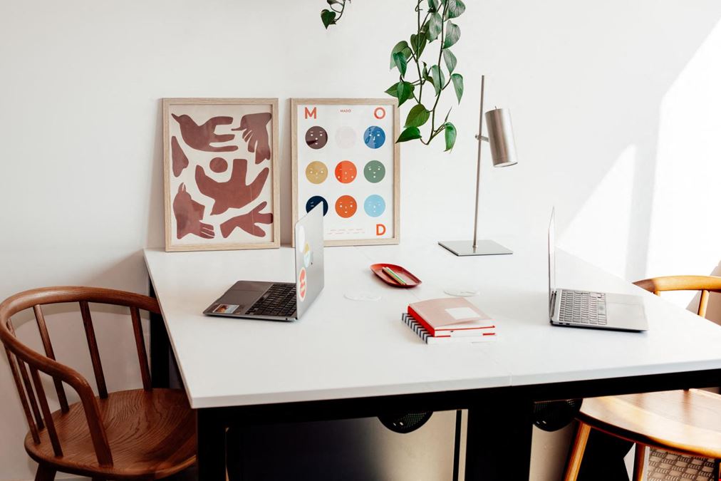 Brain Embassy - Belgium - Antwerpen