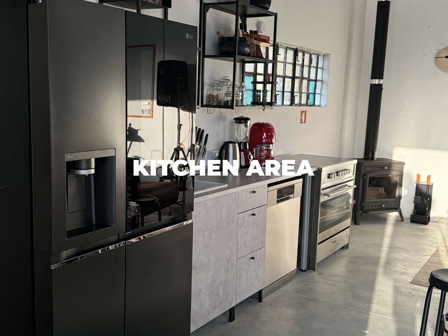 Octopus Concept Club