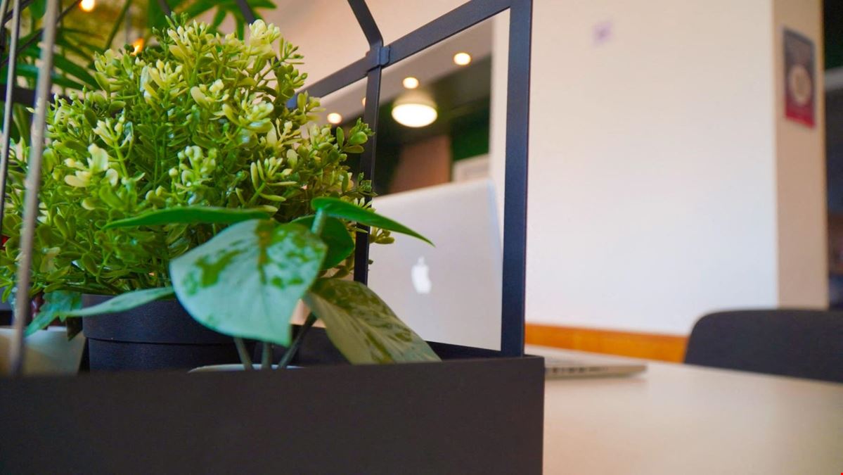 The Maggie O’Neill Centre