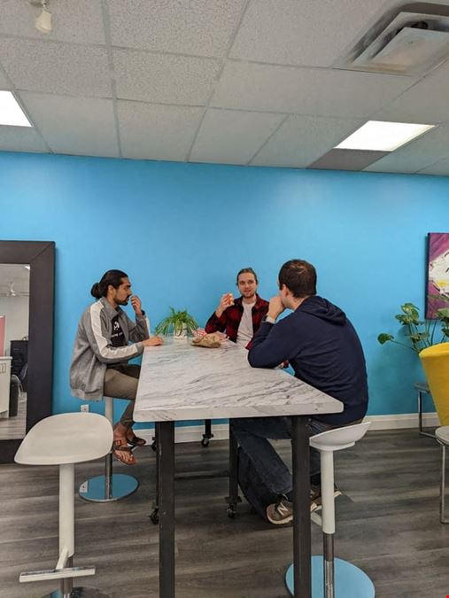 The Village Hive - Eglinton