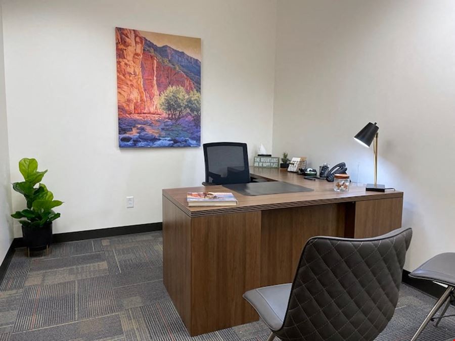 Executive Workspace - Park Ventura