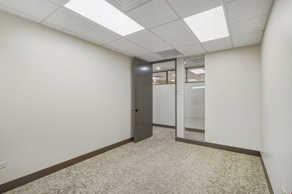 Studio 204