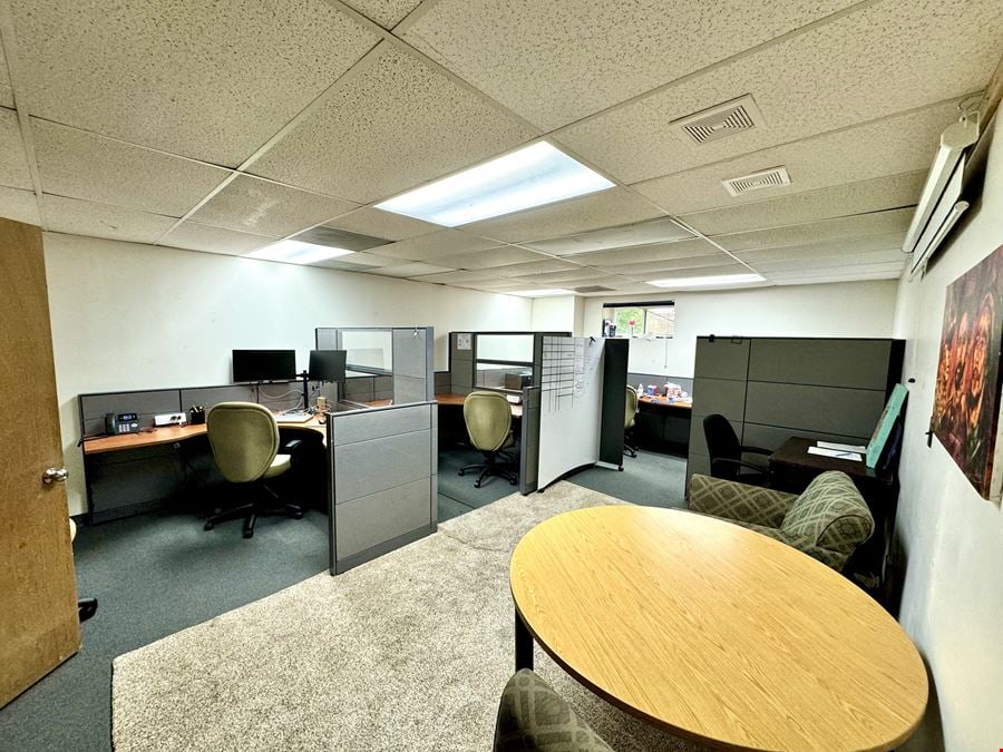 One Village Alliance, Freedom