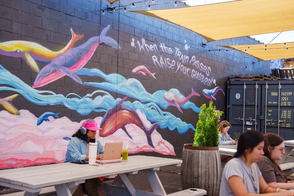 Pilot Project - Brewery & Cafe