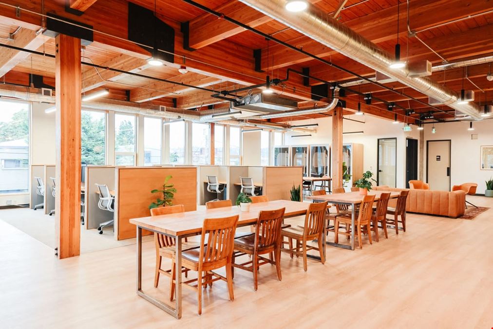 The Pioneer Collective - Ballard