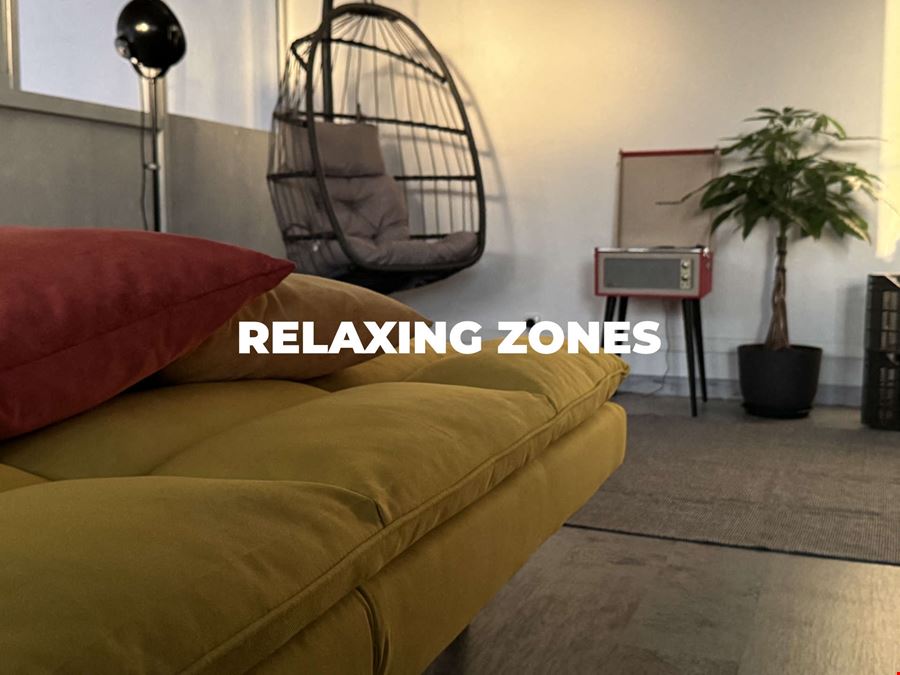 Octopus Concept Club