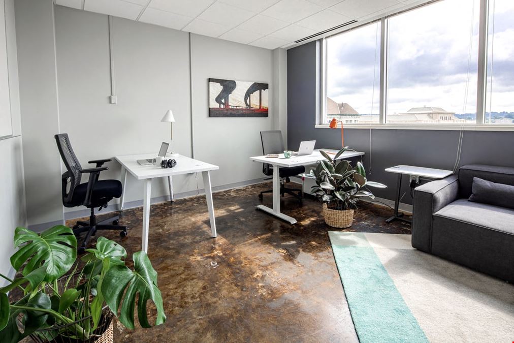 Large Team Window Office