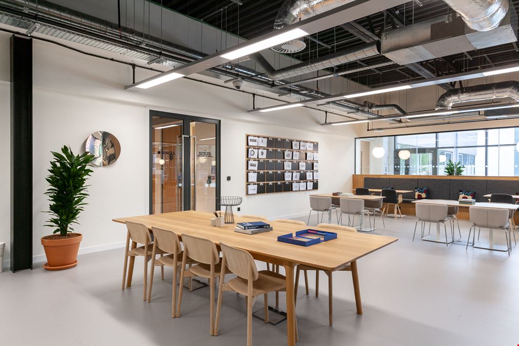 Spaces - The Maylands