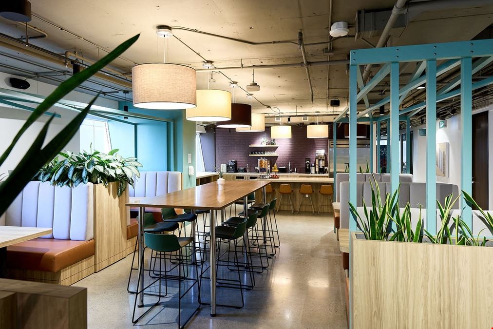 iQ Offices – 222 Queen Street