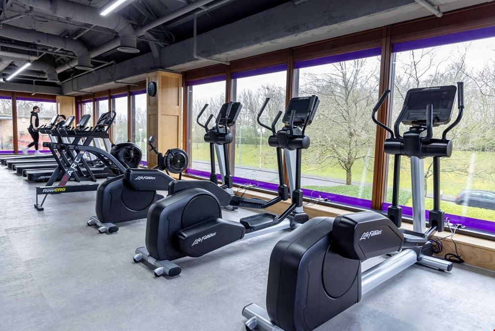 FigFlex - Peterborough