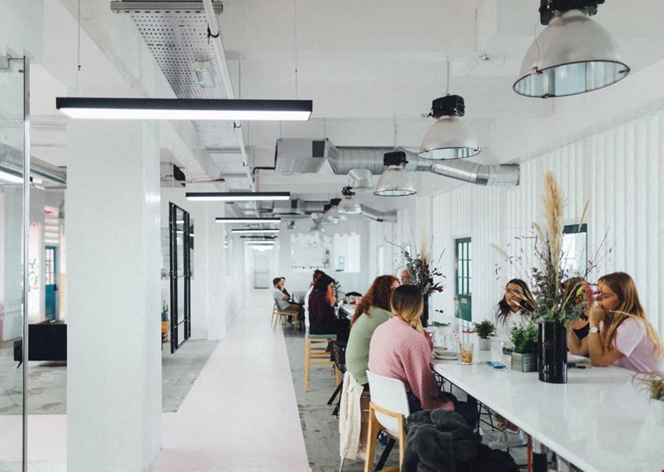 Our Neighbourhood - Canal House