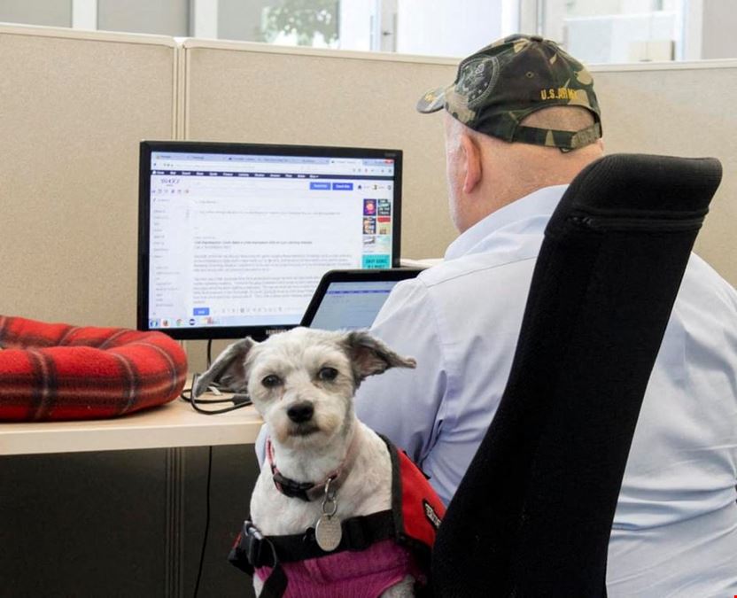 Greenhouse Coworking