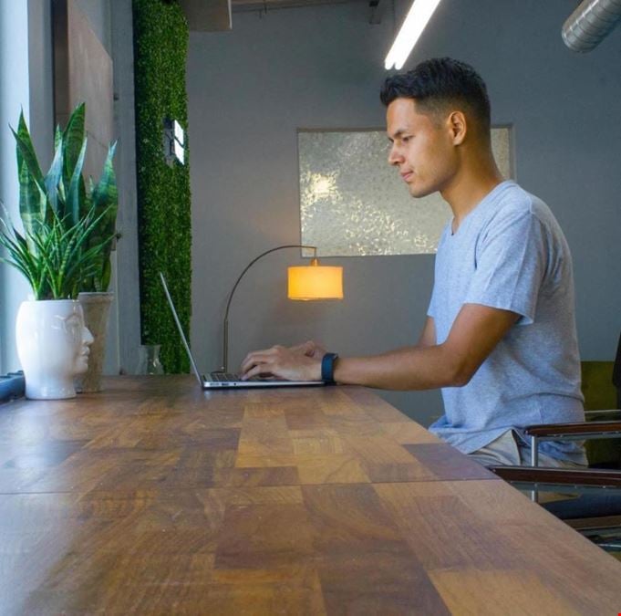 Open Desk Coworking Day Pass