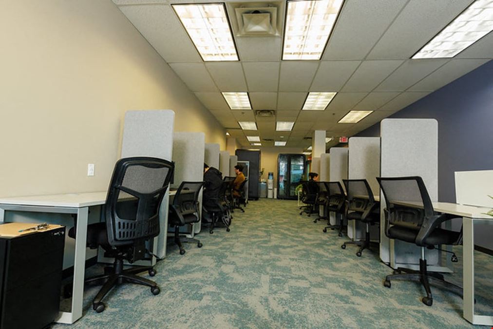 Beta Collective - Burnaby