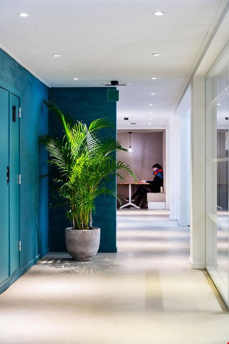 Silversquare  Louise