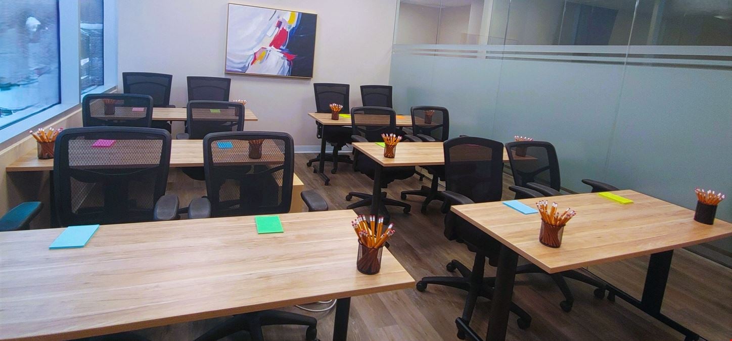 Professional Training Room