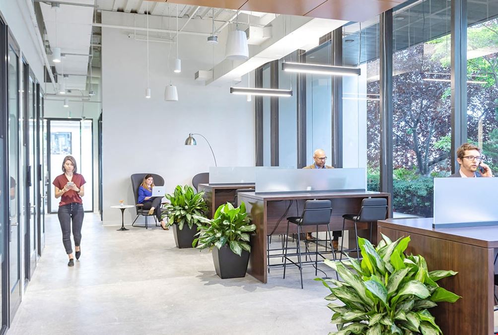 Serendipity Labs - Plano - Legacy West