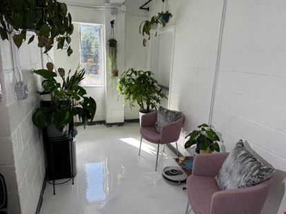 The Plant Apothecary