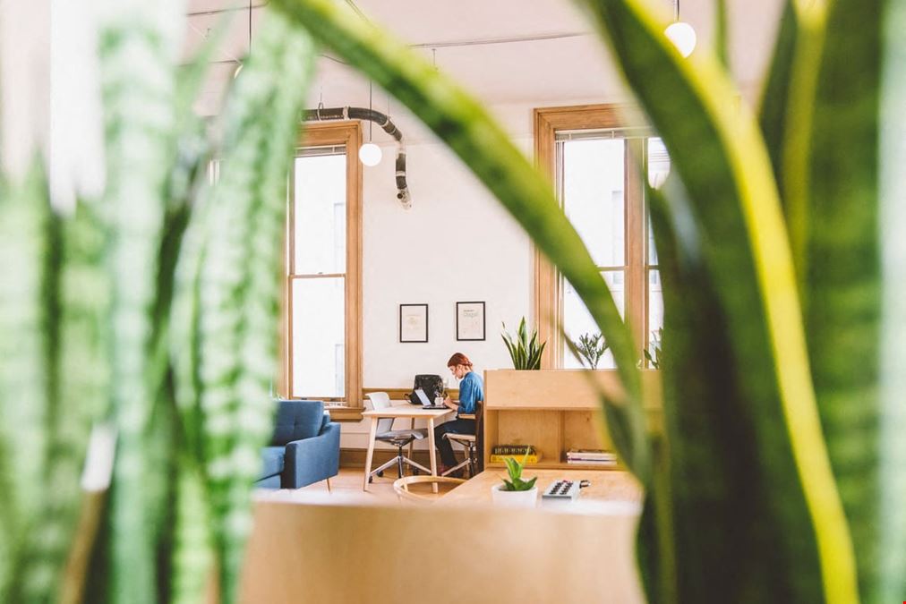 The Pioneer Collective - Tacoma