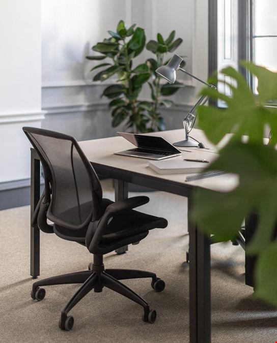 Fora - 24 Greville Street