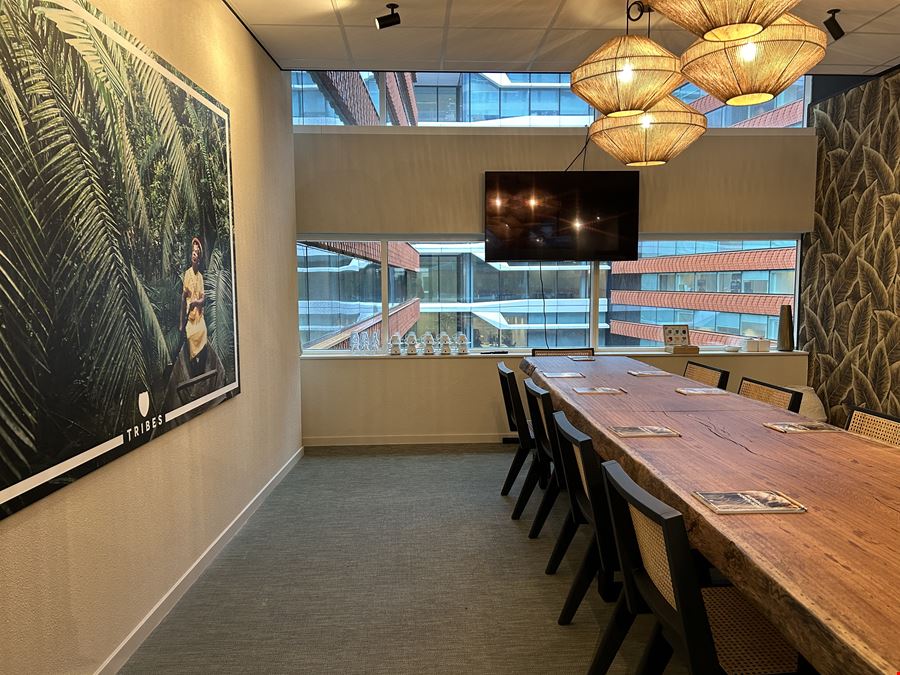 Tribes - Amsterdam FOZ