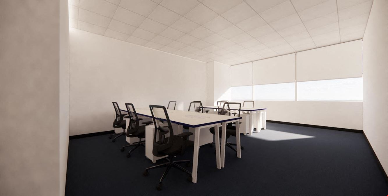 The Work Project - Geneo