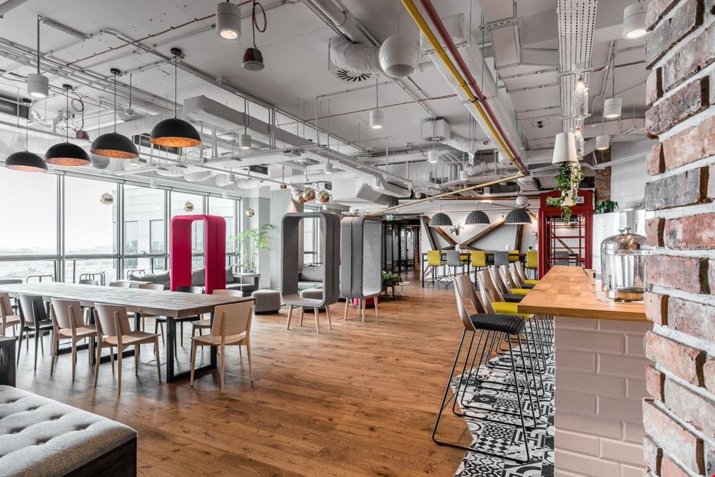 Brain Embassy Rzymowskiego