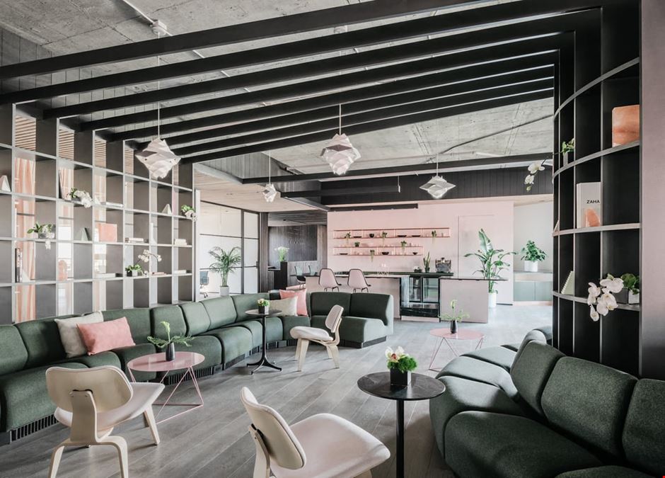 CANOPY - Jackson Square