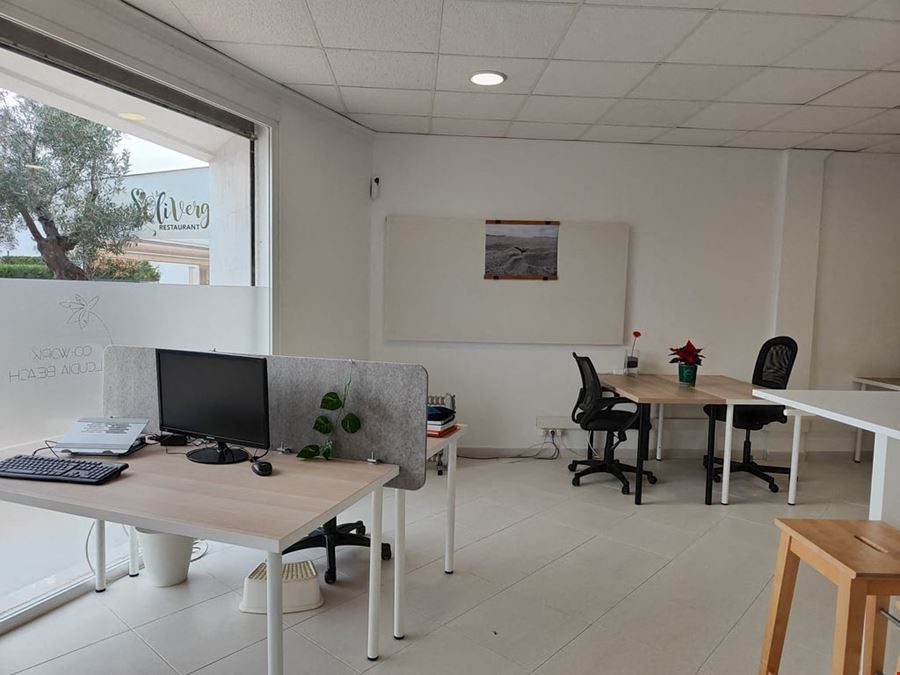 Cocowork - Alcudia Beach