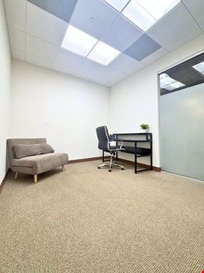 Suite 8