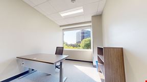 Suite 6